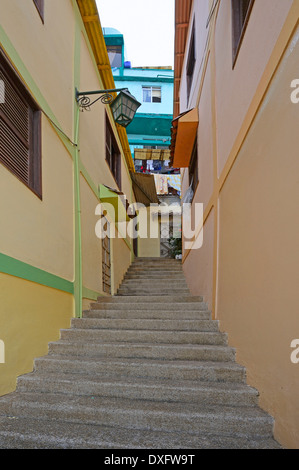 Houses, stairs, District of Las Penas, on Cerro Santa Ana, Guayaquil, Guayas Province, Ecuador Stock Photo