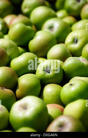 Full Frame Of Freshly Picked Apples Stock Photo