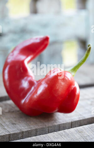 Red Romano Pepper On Wooden Surface Stock Photo