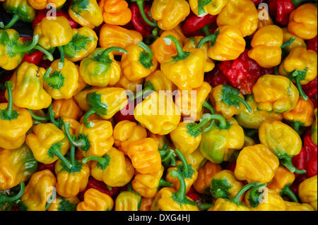 Full Frame Of Scotch Bonnet Chilli Peppers Stock Photo
