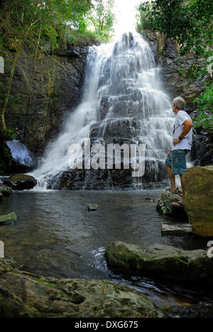 Waterfall at Hogsback, Eastern Cape, South Africa Stock Photo - Alamy