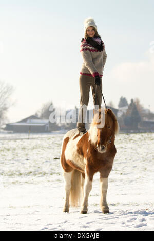 Woman wearing an Icelandic jumper standing on her painted Icelandic Horse, Austria Stock Photo