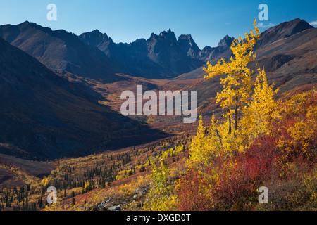 Tombstone Mountain and the upper Grizzly Creek in autumn, Tombstone Territorial Park, Yukon Territories, Canada Stock Photo