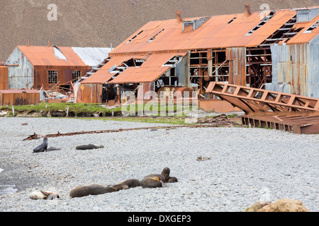 Stromness Whaling Station on South Georgia, it was operational until 1961, Stock Photo