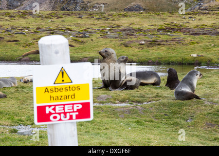 Stromness Whaling Station on South Georgia, it was operational until 1961, Stock Photo