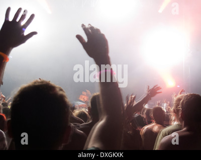 Fans cheering at music festival Stock Photo