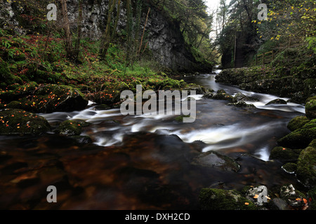 Autumn river Twiss, Ingleton Waterfalls Trail, Ingleton village, Yorkshire Dales National Park, England, UK Stock Photo