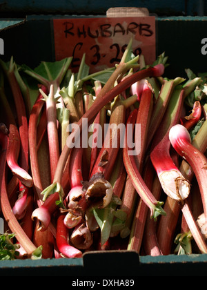 Sticks of rhubarb for sale in a green grocers, Stock Photo