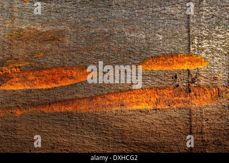 Dark brown vintage wood texture Stock Photo