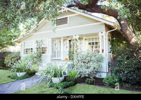 Plants and trees around house Stock Photo