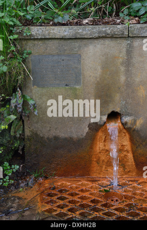 Chalybeate Spring. Alexandra Park. Hastings. East Sussex Stock Photo