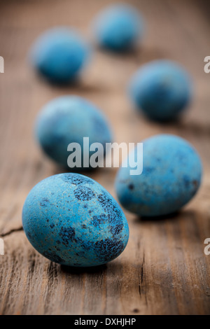 Close up of blue spotted quail eggs Stock Photo