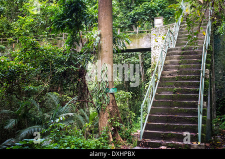 stairs leading to Air Terjun Tiu Kelep waterfall, Senaru, Lombok, Indonesia, Southeast Asia, Asia Stock Photo