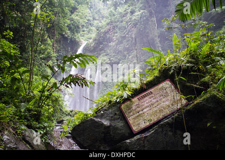 Air Terjun Tiu Kelep waterfall, Senaru, Lombok, Indonesia, Southeast Asia, Asia Stock Photo