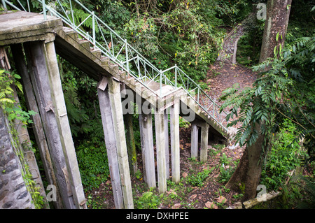 stairs leading to Air Terjun Tiu Kelep waterfall, Senaru, Lombok, Indonesia, Southeast Asia, Asia Stock Photo