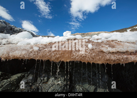 Melting ice and snow at on Joinville Island just off the Antarctic Peninsular. Stock Photo