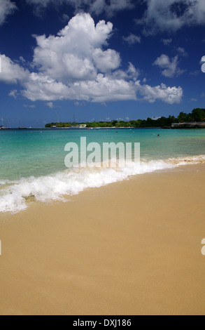 Store Bay Beach, Tobago Stock Photo