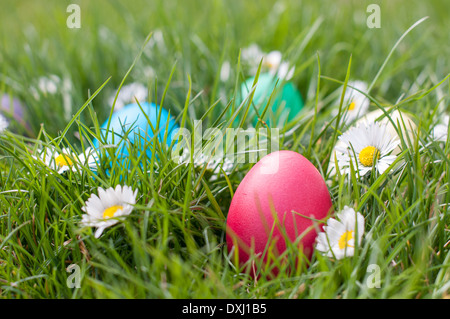 Red Easter egg in a nest among spring flowers Stock Photo