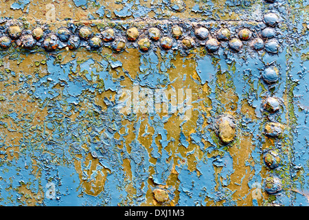 Texture of a rusty blue metal door with rivets Stock Photo