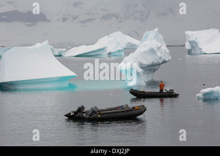Icebergs of Curverville Island on the Antarctic Peninsular, which is one of the fastest warming places on the planet, Stock Photo