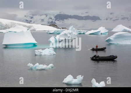 Icebergs of Curverville Island on the Antarctic Peninsular, which is one of the fastest warming places on the planet, Stock Photo