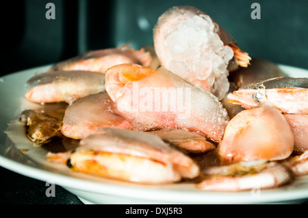 Frozen shrimp covered with a thick layer of ice. In the microwave. Stock Photo