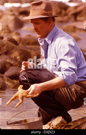 CANNERY ROW Stock Photo