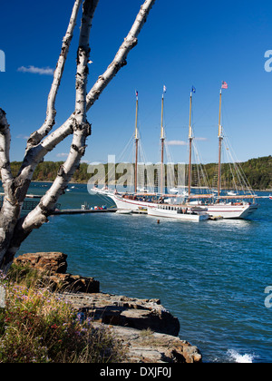 Four-master Margaret Todd and Cruise Liner Caribbean Princess off Bar Harbour Maine USA 7 Stock Photo