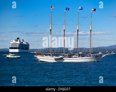 Four-master Margaret Todd and Cruise Liner Caribbean Princess off Bar Harbour Maine USA Stock Photo