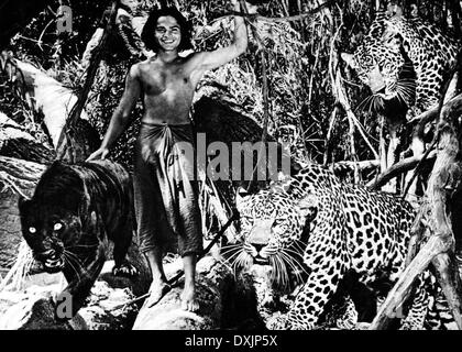 JUNGLE BOOK (US1942) SABU AS MOWGLI Stock Photo