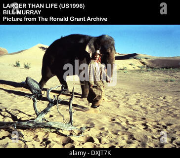 LARGER THAN LIFE Stock Photo