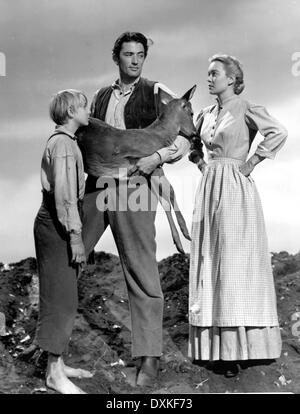 THE YEARLING (US1946) CLAUDE JARMAN Jr., GREGORY PECK, JANE Stock Photo