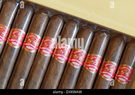A box of Cuban cigars. Stock Photo
