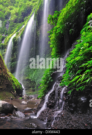 Madakaripura Waterfall in Bromo Tenger Semeru National Park, East Java, Indonesia Stock Photo