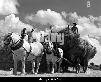 THE LOVES OF JOANNA GODDEN Stock Photo