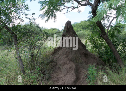 big termite hill in africa Stock Photo