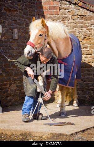 A professional farrier working at a stable in North Lincolnshire, England. Stock Photo