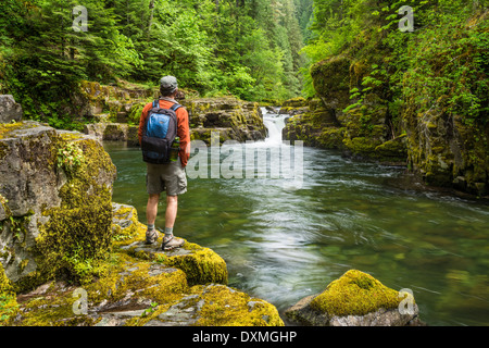 Hiker on Brice Creek Trail at pool below waterfall and jumping rock; Umpqua National Forest, Oregon. Stock Photo