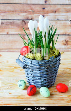 crocuses in a bucket and eggs, easter Stock Photo