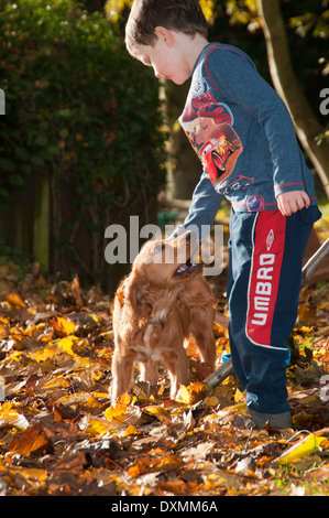 Puppy looking up at boy adoringly Stock Photo