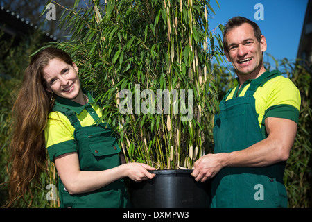 Gardeners posing with potted bamboo plant in nursery Stock Photo