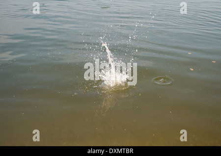 Splash of Water as Rock Hits the River Stock Photo