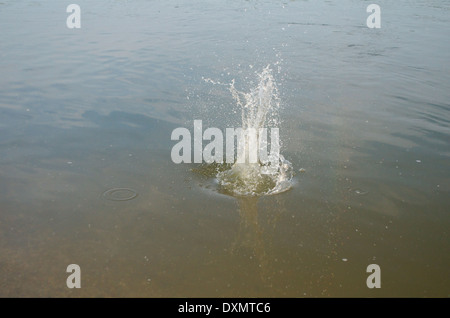 Splash of Water as Rock Hits the River Stock Photo