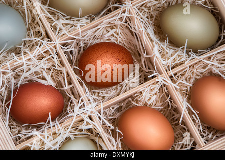 Assortment of different color chicken eggs displayed in a wood soda crate Stock Photo