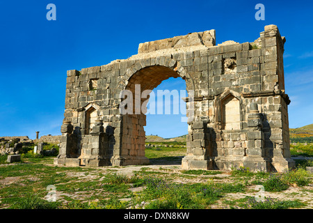 The Arch of Caracalla, built in 217 by the city's governor, Marcus Aurelius. Volubilis Archaeological Site, near Meknes, Morocc Stock Photo