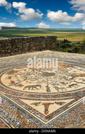 Roman mosaic from The House of Orpheus showing Orpheus playing a lute and African animals Volubilis Archaeological Site, Morroco Stock Photo