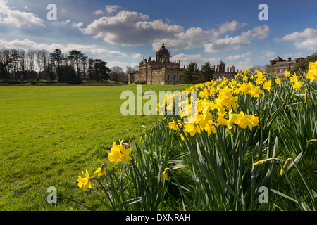 Daffodils at Castle Howard in North Yorkshire Stock Photo