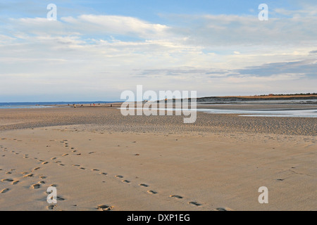 wide Crane Beach scenery (Massachusetts, USA) at evening time with sand and footprints Stock Photo