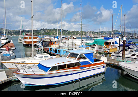 view of fairline luxury yacht and other boats in Sausalito Marina Stock Photo