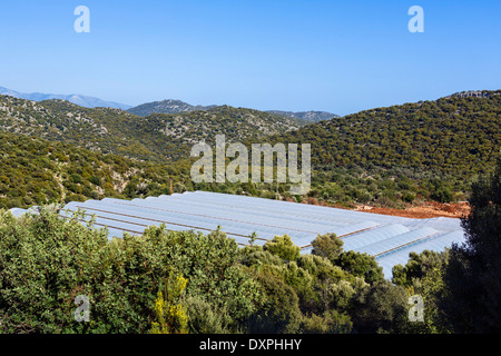 Polytunnels in the countryside near Demre, Antalya Province, Turkey Stock Photo